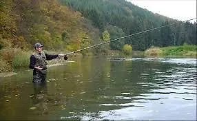 Hotel Bourgeoisie***