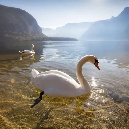 Hotel Bourgeoisie***