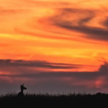 Bourgeoisie*** Frahan